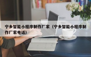 山西宁乡智能小程序制作厂家（宁乡智能小程序制作厂家电话）