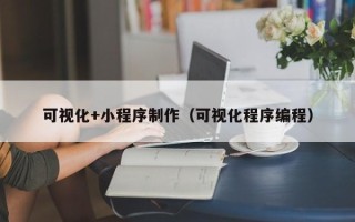 山西可视化+小程序制作（可视化程序编程）